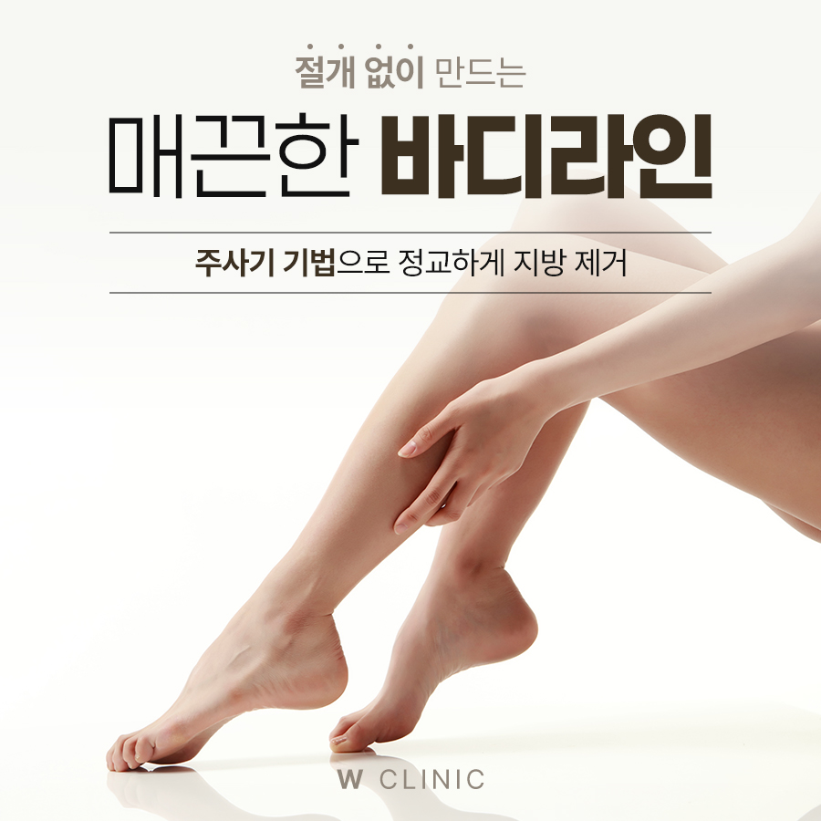다리 라인 사진